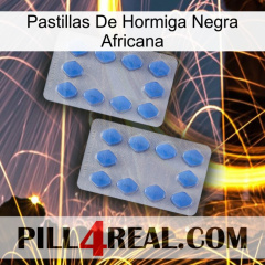 African Black Ant Pills 20